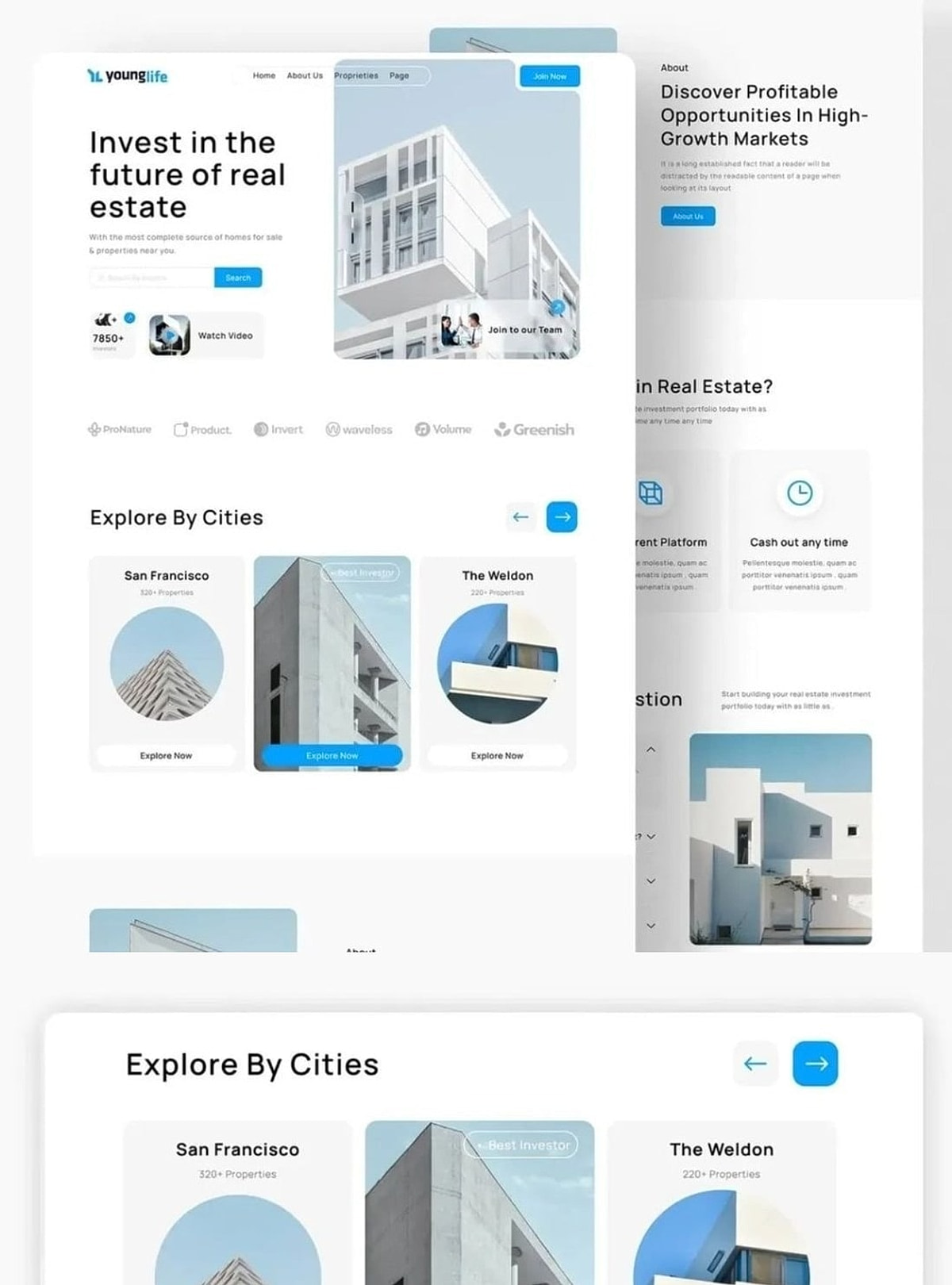 Younglife — Real Estate Investment UI